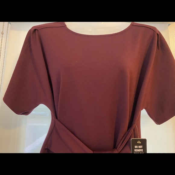 Express Dolman Dress - Picture 5 of 6